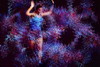 Test image