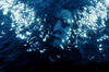 Test image