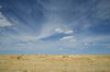 Test image